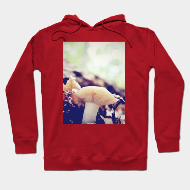 Pixie's View Hoodie by Beth Thompson Art